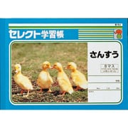B5セレクト学習帳 サンスウ 8マス K-1-2