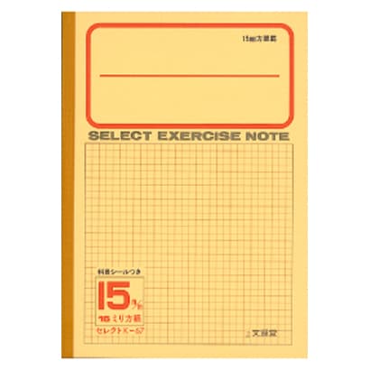 学習帳 15ミリ方眼 K67