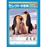 セレクト学習帳 国語 K-11