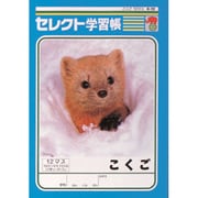 セレクト学習帳 国語 K-12
