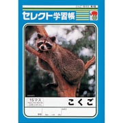 B5セレクト学習帳 国語 K-13