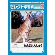 セレクト学習帳 漢字練習 K-45