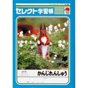 B5セレクト学習帳 漢字練習 K-50