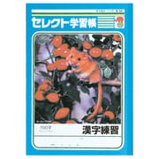 漢字練習帳 150字 K-51