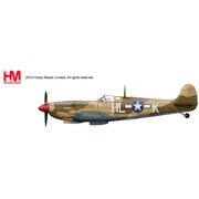 HA8302 [1/48 スピットファイア Mk.VIII ファーゴ･エクスプレス]