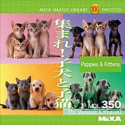 MIXA IMAGE LIBRARY Vol.350 集まれ！子犬と子猫 [Windows/Mac]