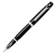 ヴィエルアール VLR9351PN パラディウムトリム 万年筆（中字）
