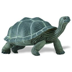 (未使用･未開封品)　サファリ レプリカ ガラパゴスゾウガメ(親) gsx453j Amazon.co.jp: サファリ レプリカ ガラパゴスゾウガメ(親