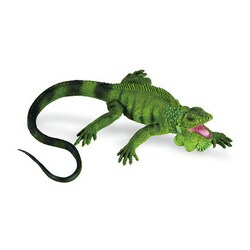 サファリ レプリカ グリーンイグアナベビー Amazon.co.jp: Safari Ltd. サファリ(SAFARI) レプリカ グリーン