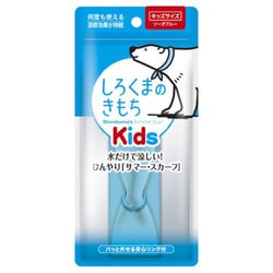 ヨドバシ Com ルミカ しろくまのきもち Rkキッズ Rk301 ソーダブルー 通販 全品無料配達 ヨドバシ Com ルミカ しろくまのきもち Rkキッズ Rk301 ソーダブルー 通販 全品無料配達