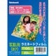 ラミネートフィルム20枚入り 写真L判 B7 LPR-B7E2-SP