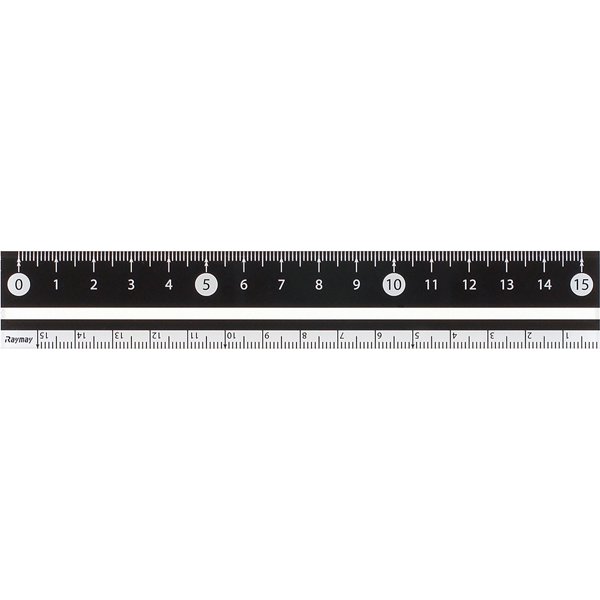 白黒定規15cm ブラック APJ188B