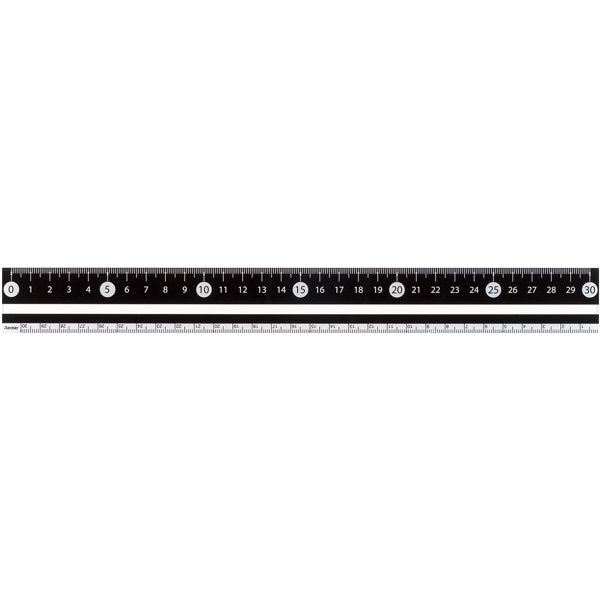 白黒定規30cm ブラック APJ281B