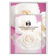 A5レターセット Fiore e Carino(フィオーレ・エ・カリーノ) GB-AS FIORE-35-22
