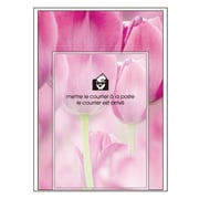 A5レターセット Fiore e Carino(フィオーレ・エ・カリーノ) TP-PI FIORE-35-28