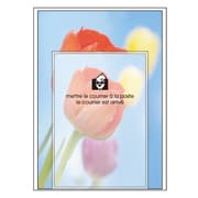 A5レターセット Fiore e Carino(フィオーレ・エ・カリーノ) TP-AS FIORE-35-33