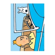 A5レターセット TINTIN(タンタン) アメリカ TLT-FR-003