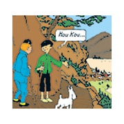 ミニグリーティングカード TINTIN(タンタン)/Mini アオイハス TGC-SQ-007