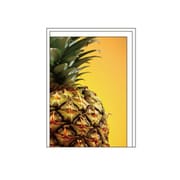 ミニカード[Frutteria]パイナップル FRT-MC-07