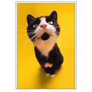 ポストカード[Bestiola]キャットYE BTL-PC-07
