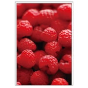 ポストカード Frutteria ラズベリ FRT-PC-02