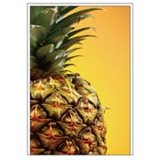 ポストカード Frutteria パイナッフ FRT-PC-07