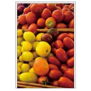 ポストカード Frutteria フルーツ FRT-PC-11