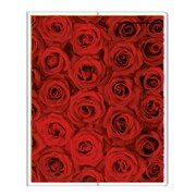 フォトポケット40P Fiore e Carino(フィオーレ・エ・カリーノ) RS-RE FIORE-16-02