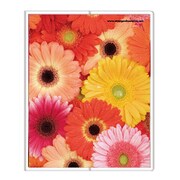 フォトポケット40P Fiore e Carino(フィオーレ・エ・カリーノ) GB-AS FIORE-16-06
