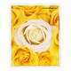 フォトポケット40P Fiore e Carino(フィオーレ・エ・カリーノ) RS-YE FIORE-16-13