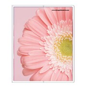 フォトポケット40P Fiore e Carino(フィオーレ・エ・カリーノ) GB-PI FIORE-16-18