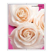 フォトポケット40P Fiore e Carino(フィオーレ・エ・カリーノ) RS-WH FIORE-16-19