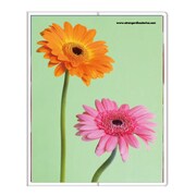フォトポケット40P Fiore e Carino(フィオーレ・エ・カリーノ) GB-AS FIORE-16-22