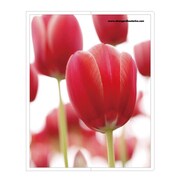 フォトポケット40P Fiore e Carino(フィオーレ・エ・カリーノ) TP-RE FIORE-16-25