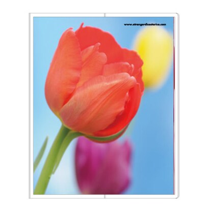 フォトポケット40P Fiore e Carino(フィオーレ・エ・カリーノ) TP-AS FIORE-16-33