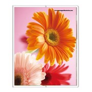 フォトポケット40P Fiore e Carino(フィオーレ・エ・カリーノ) GB-YE FIORE-16-37