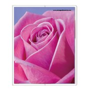 フォトポケット40P Fiore e Carino(フィオーレ・エ・カリーノ) RS-PI FIORE-16-40