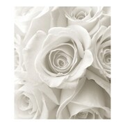 A4ファイル RS-WH FIORE-02-01