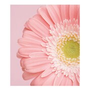 A4ファイル GB-PI FIORE-02-18