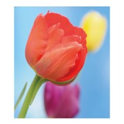 A4ファイル TP-AS FIORE-02-33