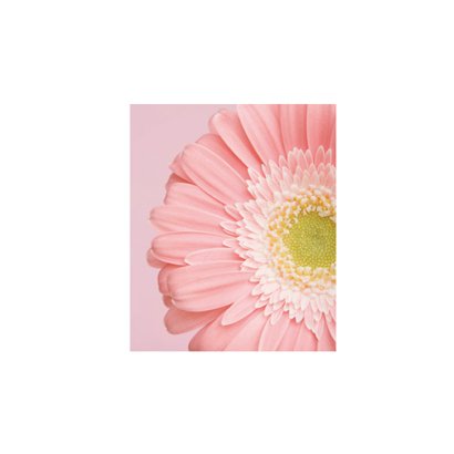 B5バインダー Fiore e Carino(フィオーレ・エ・カリーノ) GB-PI FIORE-03-18