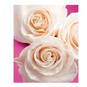 B5バインダー Fiore e Carino(フィオーレ・エ・カリーノ) RS-WH FIORE-03-19