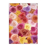 B5ノート Fiore e Carino(フィオーレ・エ・カリーノ)RS-AS FIORE-22-04