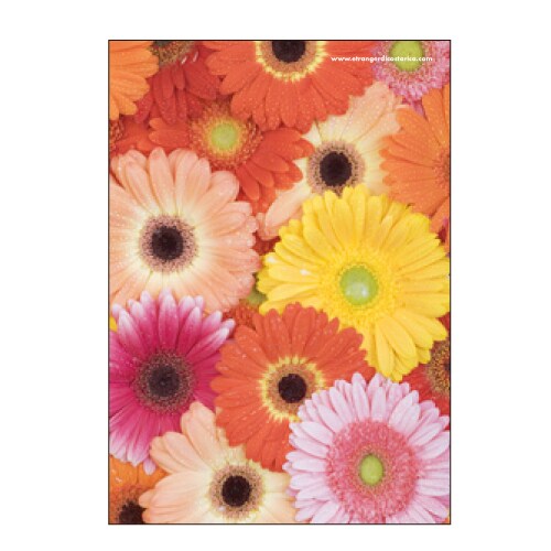 B5ノート Fiore e Carino(フィオーレ・エ・カリーノ)GB-AS FIORE-22-06