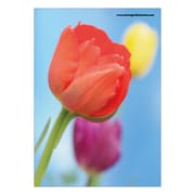 B5ノート Fiore e Carino(フィオーレ・エ・カリーノ)TP-AS FIORE-22-33