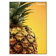 B5ノート[Frutteria]パイナップル FRT-22-07