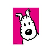 A5ノート TINTIN(タンタン) SN-PK TNB-A5-051