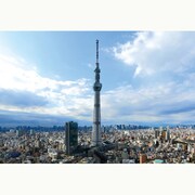 98-588 [ジグソーパズル 東京スカイツリー 634m 204ピース]