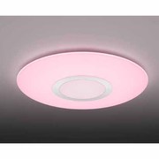 ELM<エルム> LEDシーリングライト(~10畳) 調色・調光機能搭載 DL-C406V