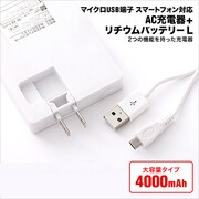 スマートフォン対応 AC充電器+リチウムバッテリー 4000mAh AI9DN52